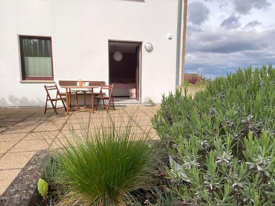 Apartment Am Golfplatz Obernkirchen Eksteriør billede